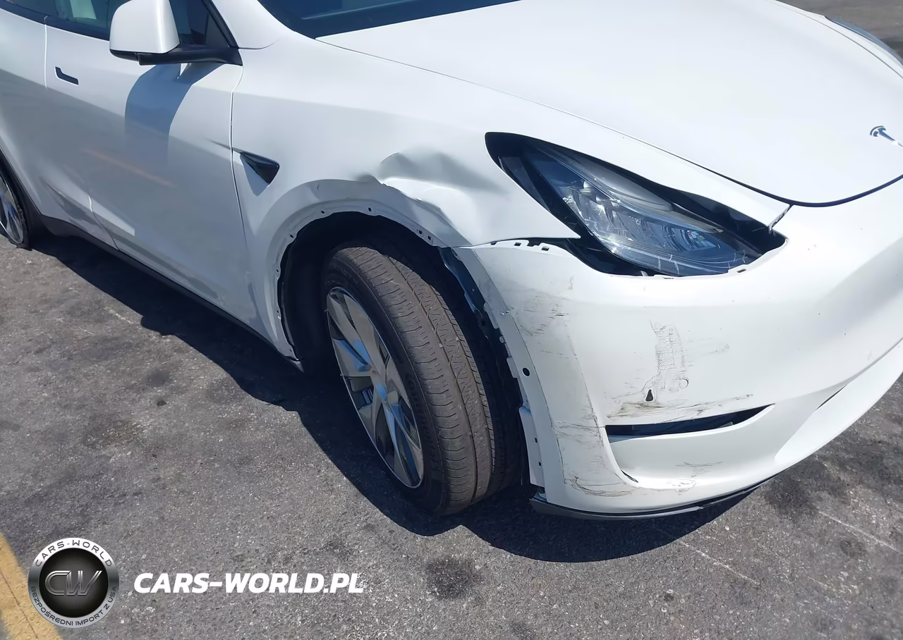 2020 Tesla Model Y Long Range Dual Motor All-Wheel Drive VIN:5YJYGDEE8LF054498 - 6