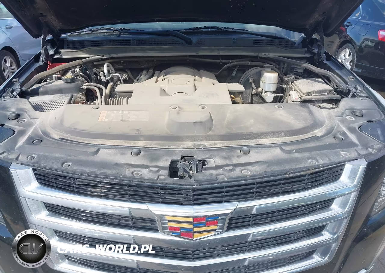 2019 Cadillac Escalade Esv Premium Luxury VIN:1GYS4JKJ3KR367007 - 10