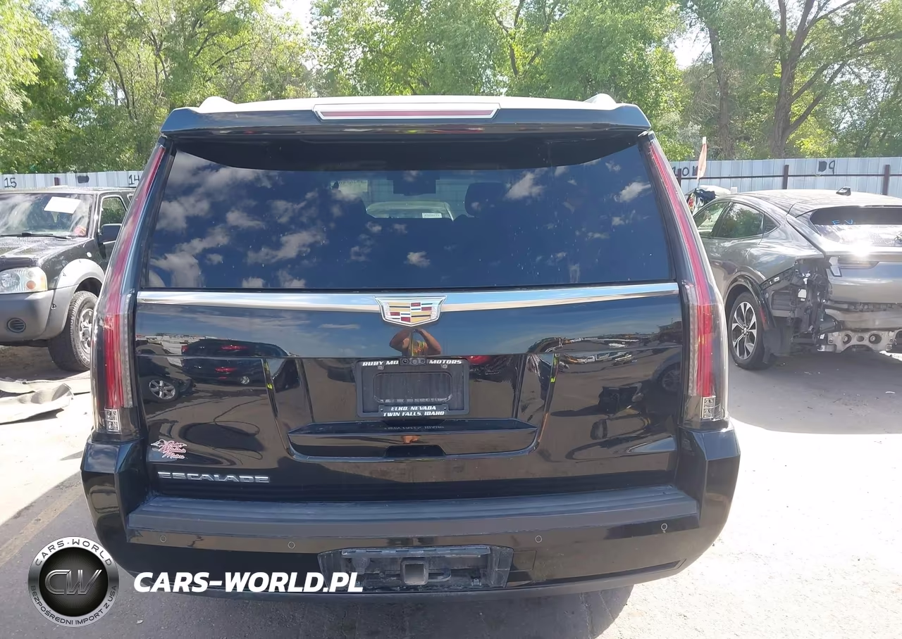 2019 Cadillac Escalade Esv Premium Luxury VIN:1GYS4JKJ3KR367007 - 16