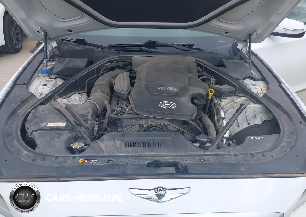 2015 Hyundai Genesis 3.8 VIN:KMHGN4JE5FU062234 - 10