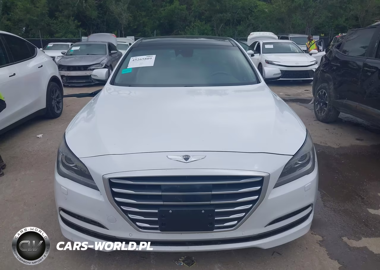 2015 Hyundai Genesis 3.8 VIN:KMHGN4JE5FU062234 - 12
