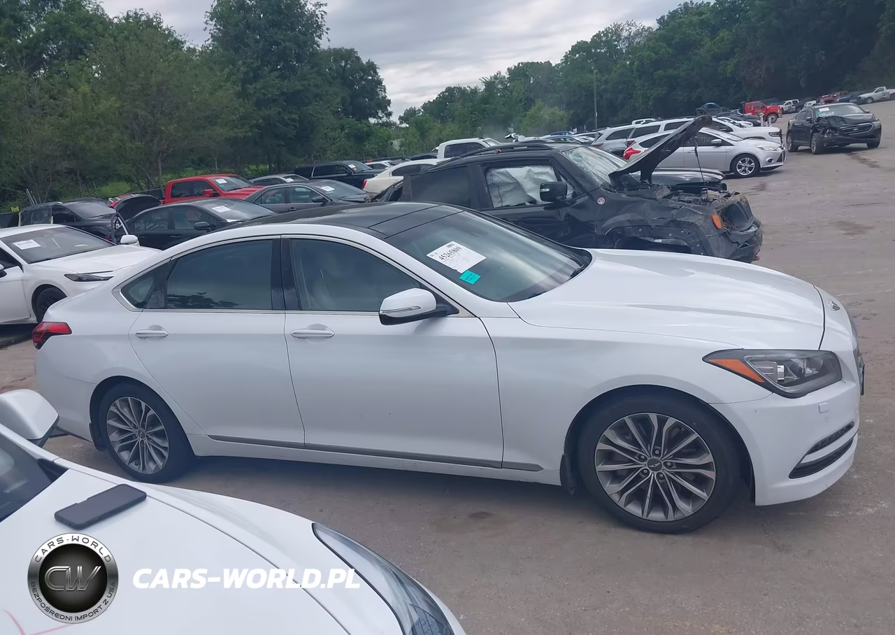 2015 Hyundai Genesis 3.8 VIN:KMHGN4JE5FU062234 - 13