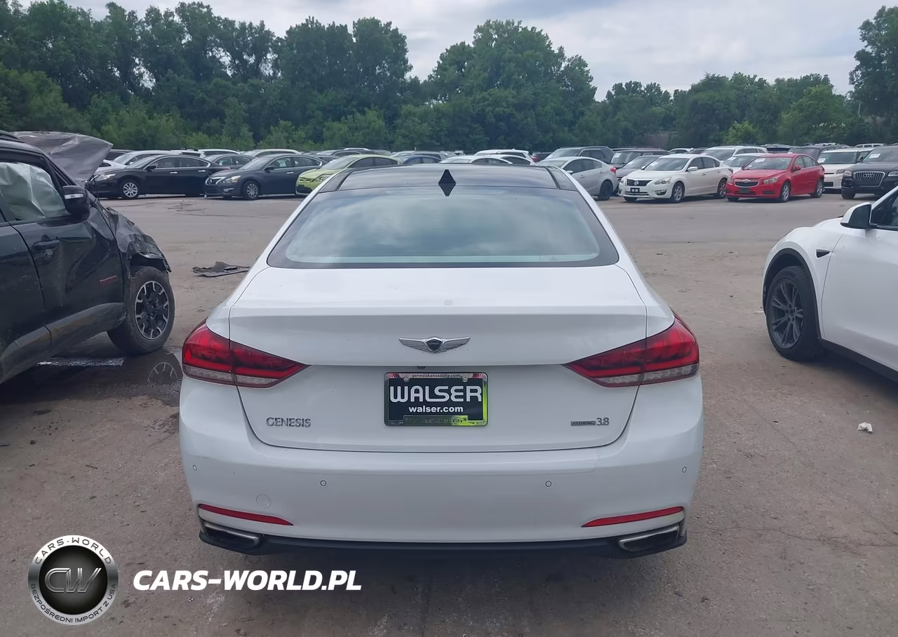 2015 Hyundai Genesis 3.8 VIN:KMHGN4JE5FU062234 - 16