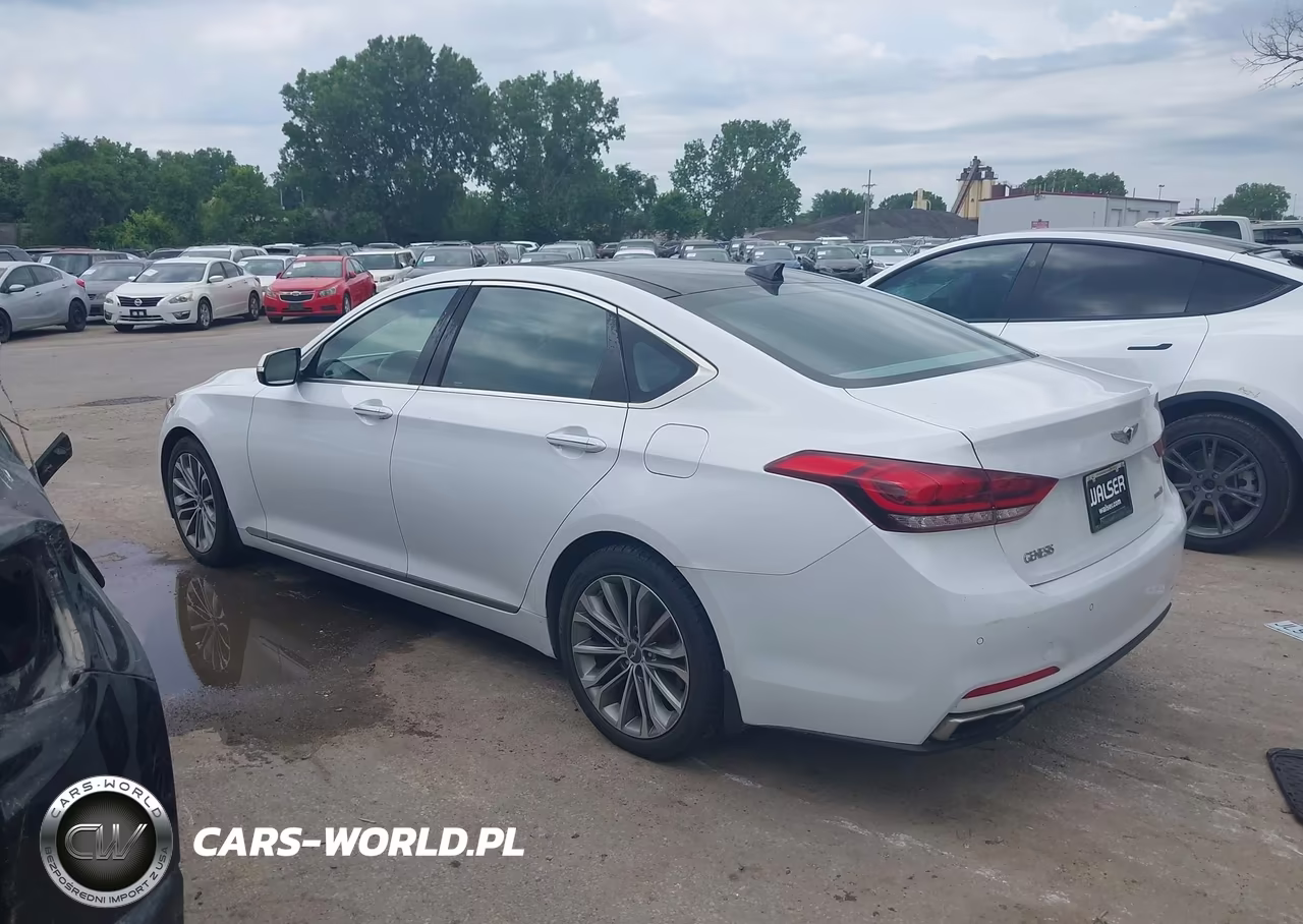 2015 Hyundai Genesis 3.8 VIN:KMHGN4JE5FU062234 - 3