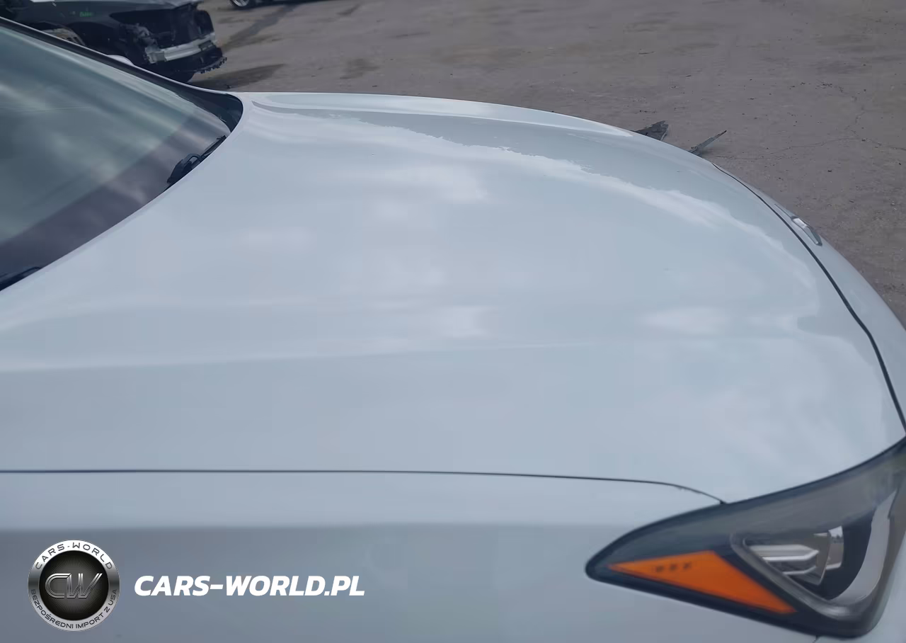 2015 Hyundai Genesis 3.8 VIN:KMHGN4JE5FU062234 - 6