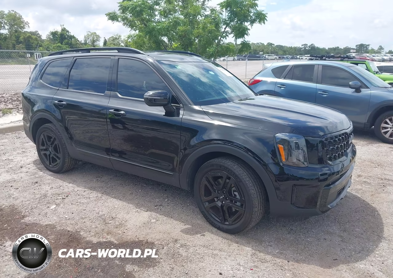 2024 Kia Telluride Ex X-Line VIN:5XYP3DGCXRG501384 - 1