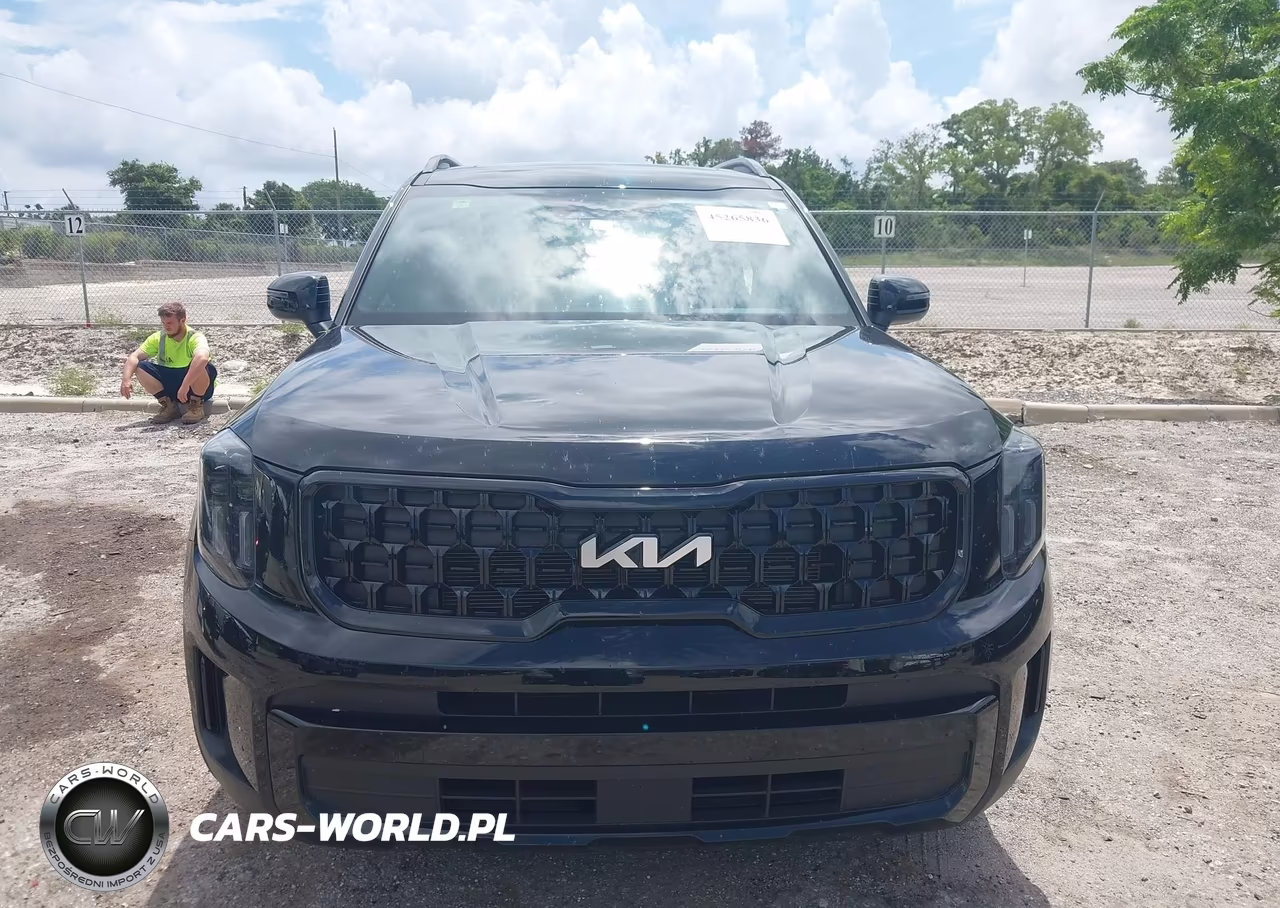 2024 Kia Telluride Ex X-Line VIN:5XYP3DGCXRG501384 - 12