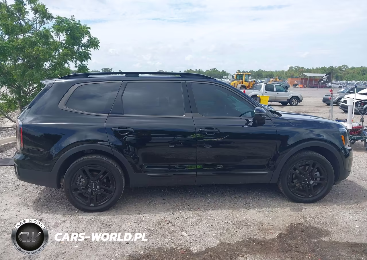 2024 Kia Telluride Ex X-Line VIN:5XYP3DGCXRG501384 - 13