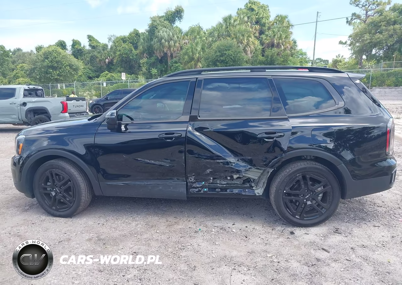 2024 Kia Telluride Ex X-Line VIN:5XYP3DGCXRG501384 - 14