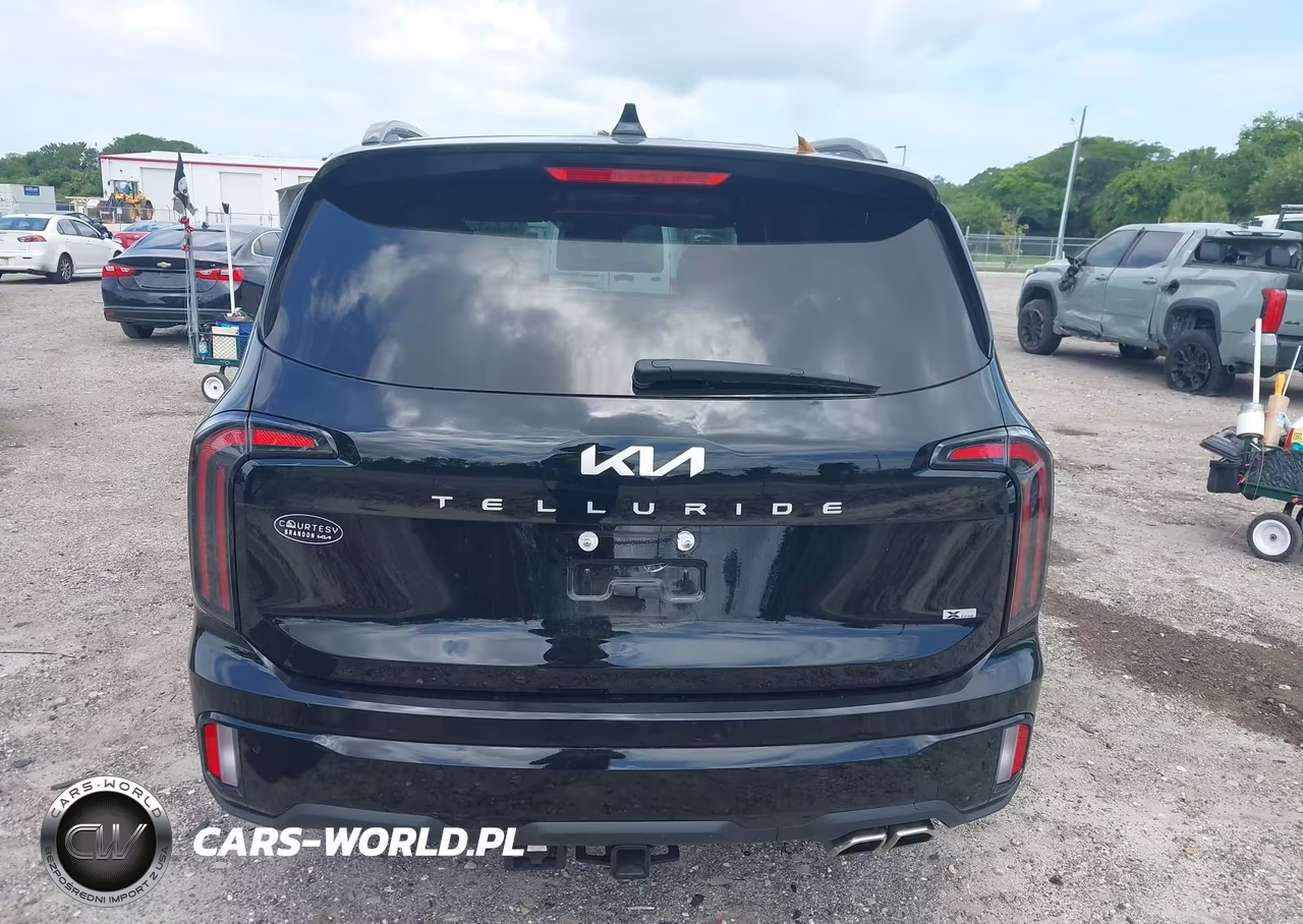 2024 Kia Telluride Ex X-Line VIN:5XYP3DGCXRG501384 - 16