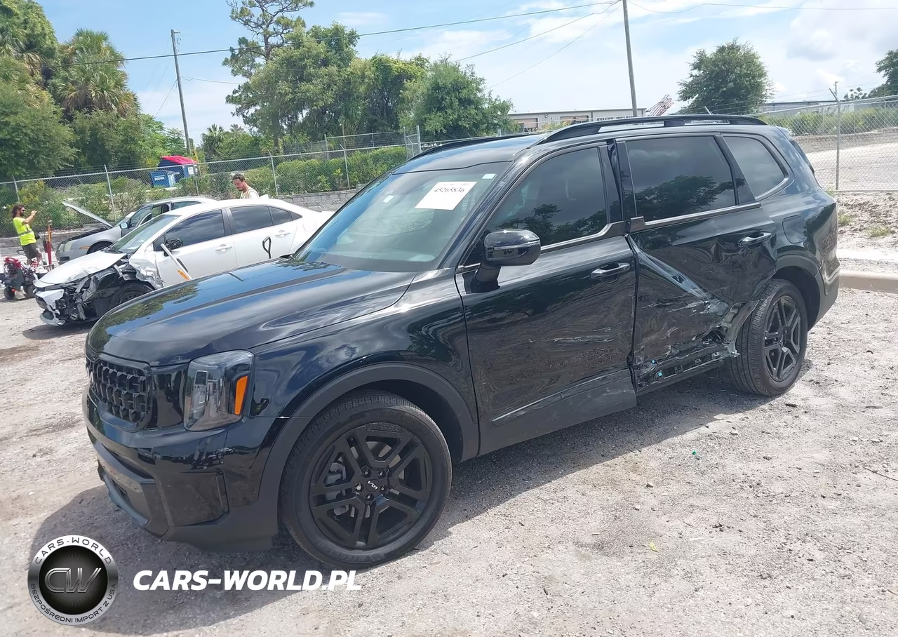 2024 Kia Telluride Ex X-Line VIN:5XYP3DGCXRG501384 - 2