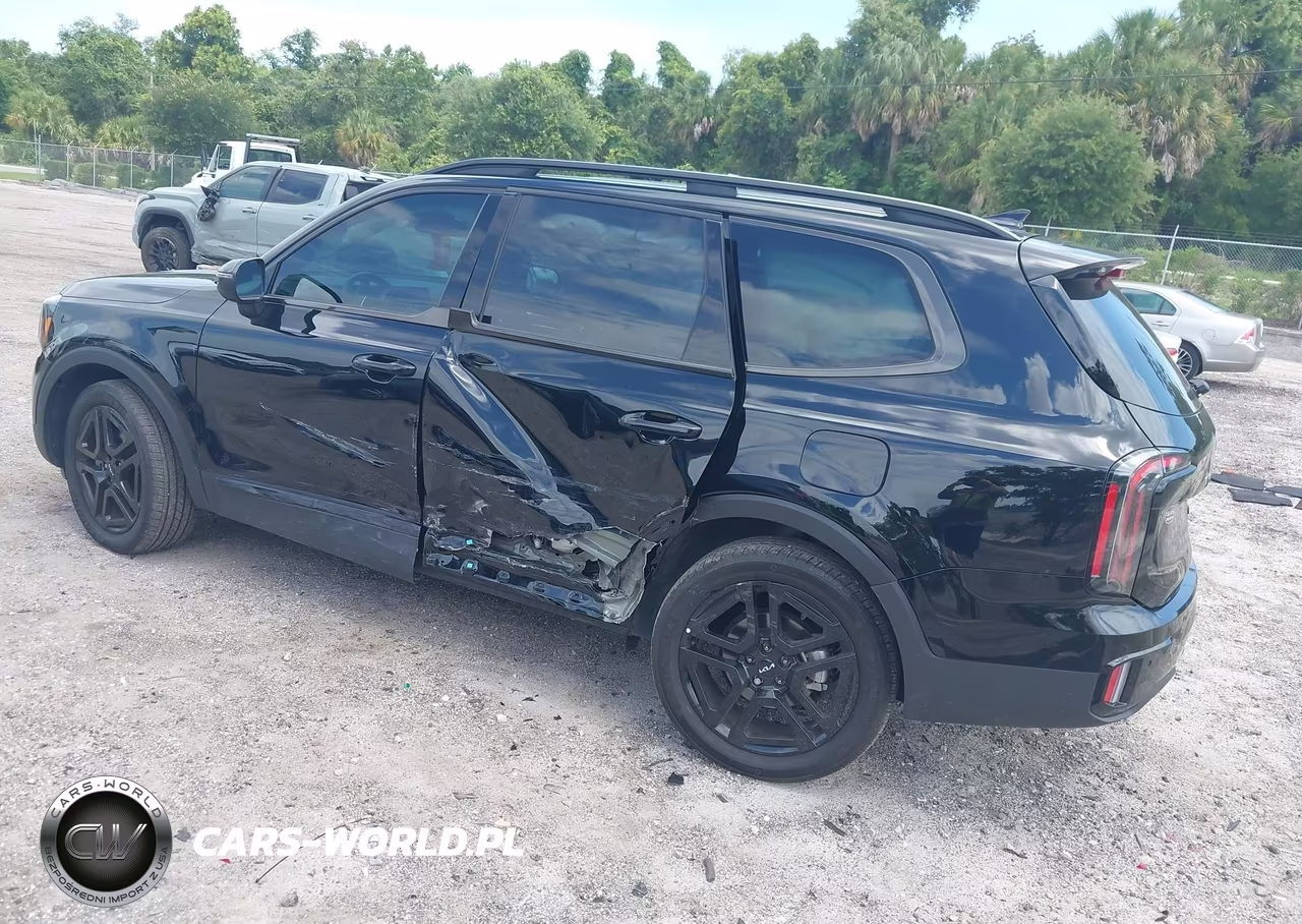 2024 Kia Telluride Ex X-Line VIN:5XYP3DGCXRG501384 - 3