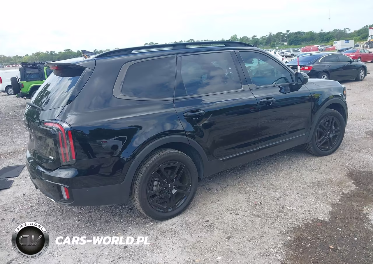 2024 Kia Telluride Ex X-Line VIN:5XYP3DGCXRG501384 - 4