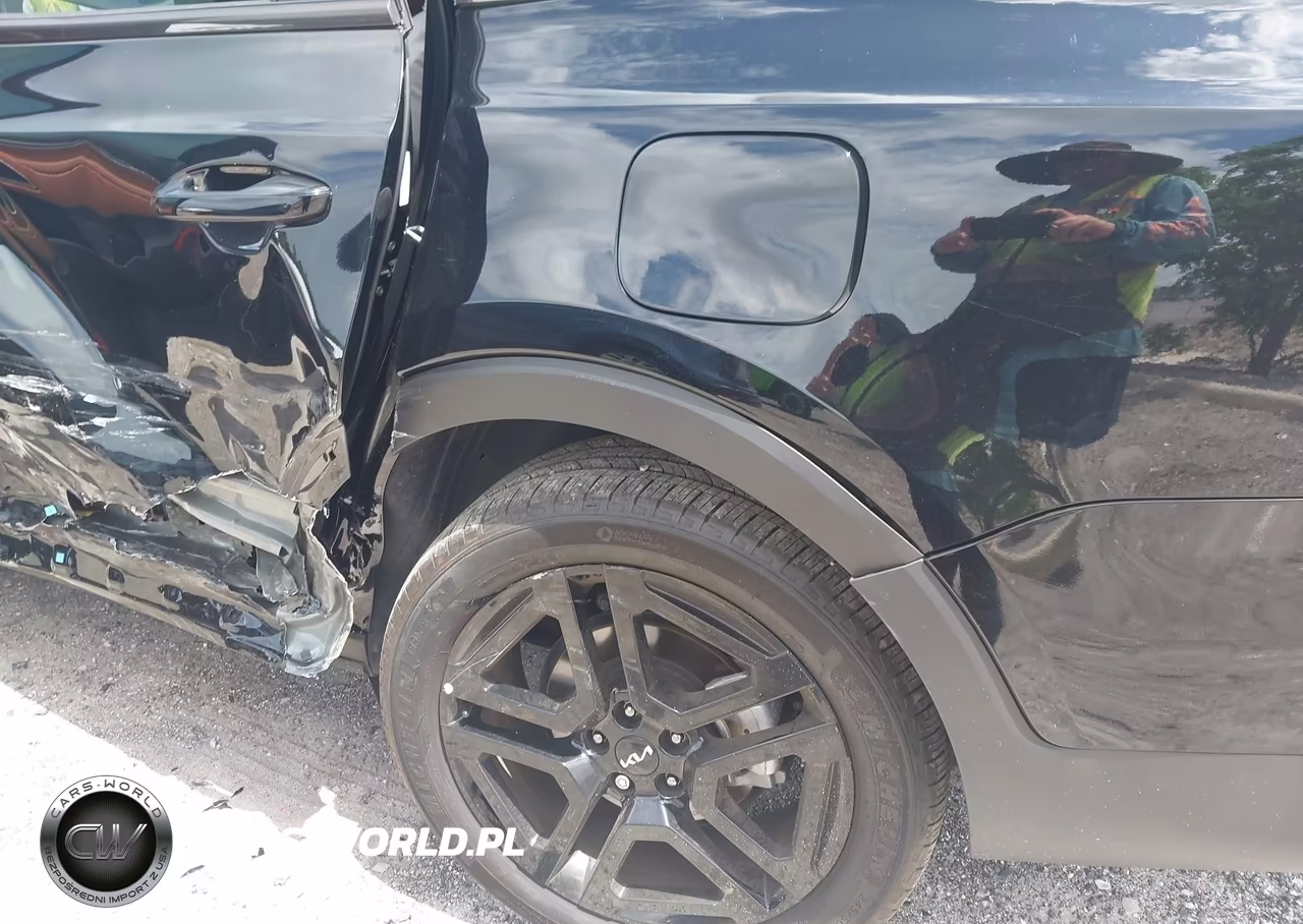 2024 Kia Telluride Ex X-Line VIN:5XYP3DGCXRG501384 - 6