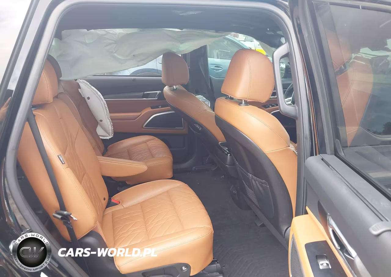 2024 Kia Telluride Ex X-Line VIN:5XYP3DGCXRG501384 - 8