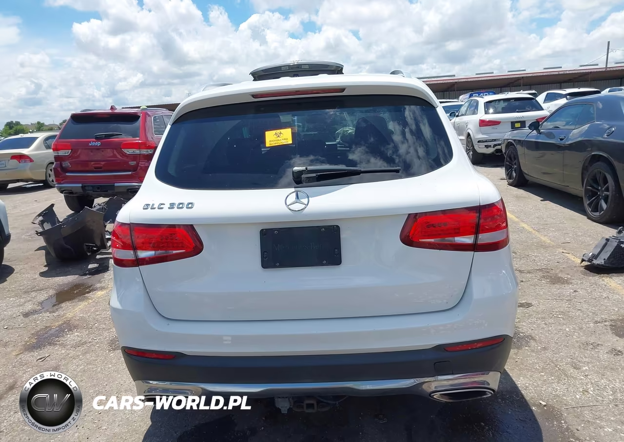 2016 Mercedes-Benz Glc 300 VIN:WDC0G4JBXGF030434 - 17