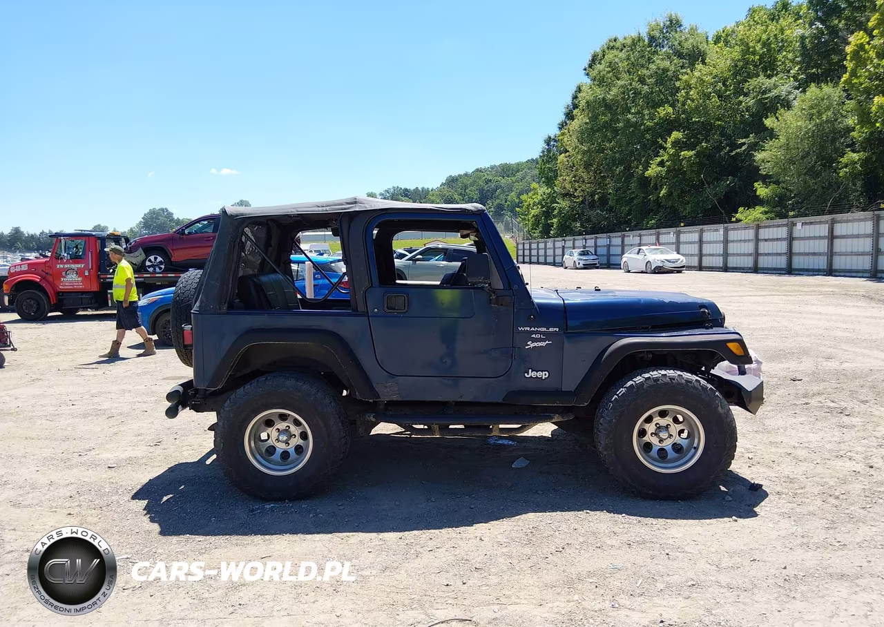 2000 Jeep Wrangler Sport VIN:1J4FA49S7YP748213 - 13