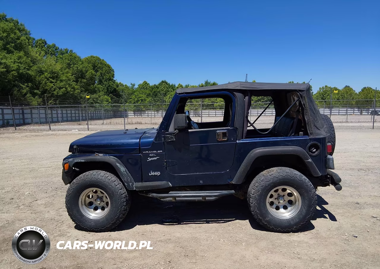 2000 Jeep Wrangler Sport VIN:1J4FA49S7YP748213 - 14