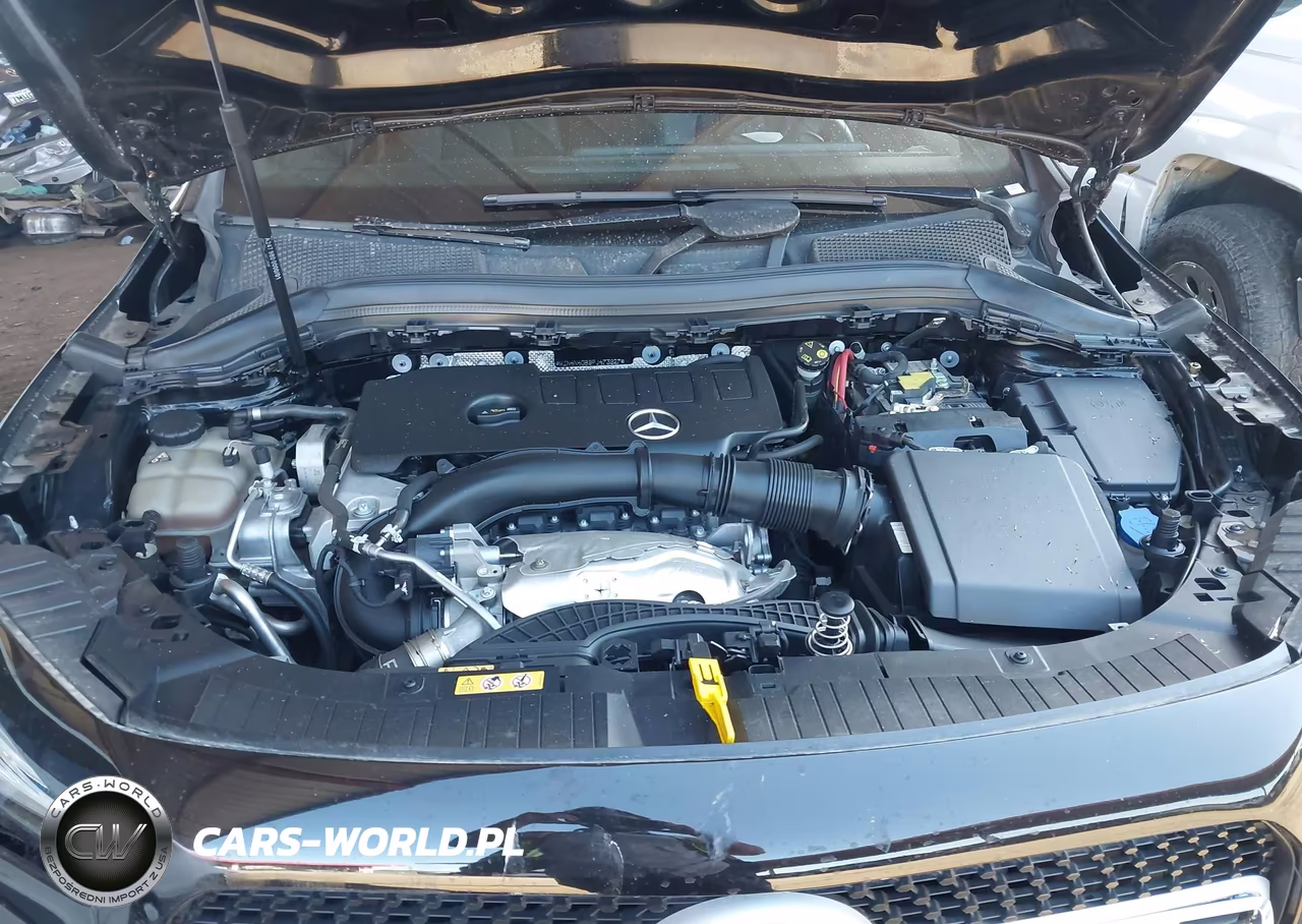 2023 Mercedes-Benz Gla 250 VIN:W1N4N4GB9PJ473927 - 10