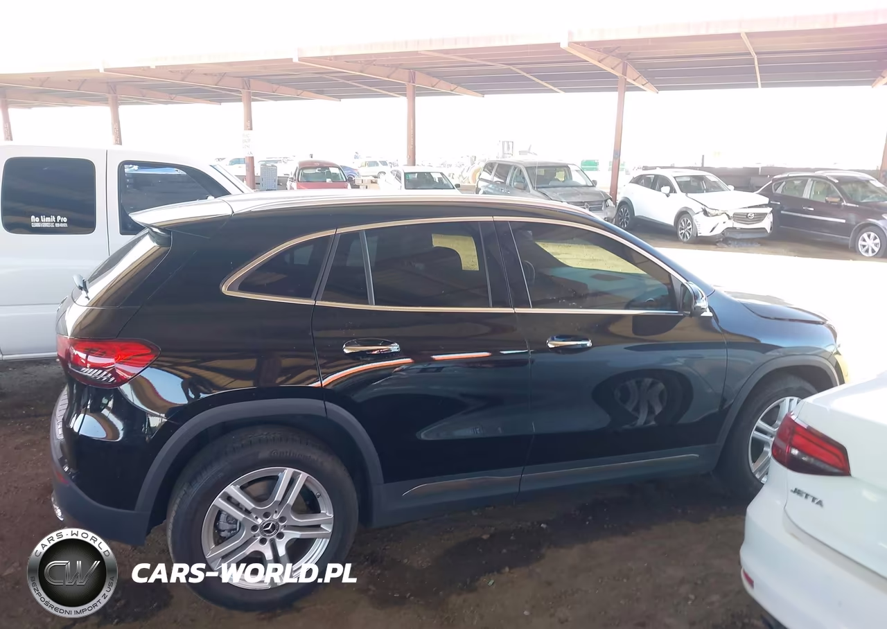 2023 Mercedes-Benz Gla 250 VIN:W1N4N4GB9PJ473927 - 13