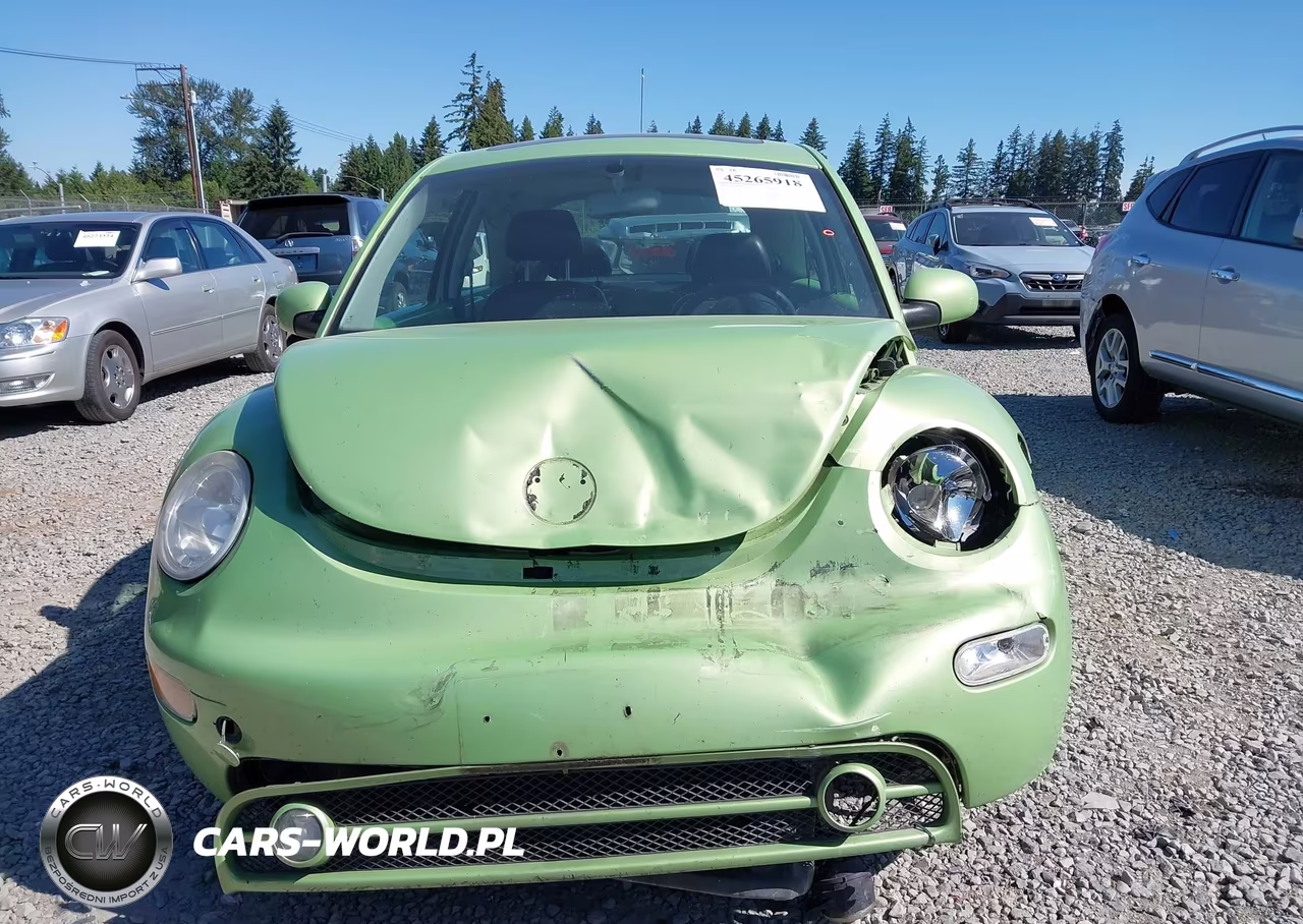 2003 Volkswagen New Beetle Glx VIN:3VWDD21C43M425245 - 13