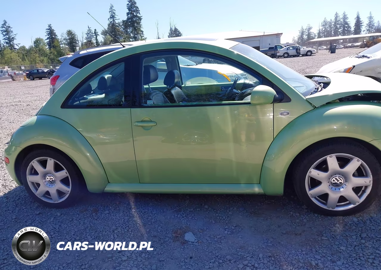 2003 Volkswagen New Beetle Glx VIN:3VWDD21C43M425245 - 14