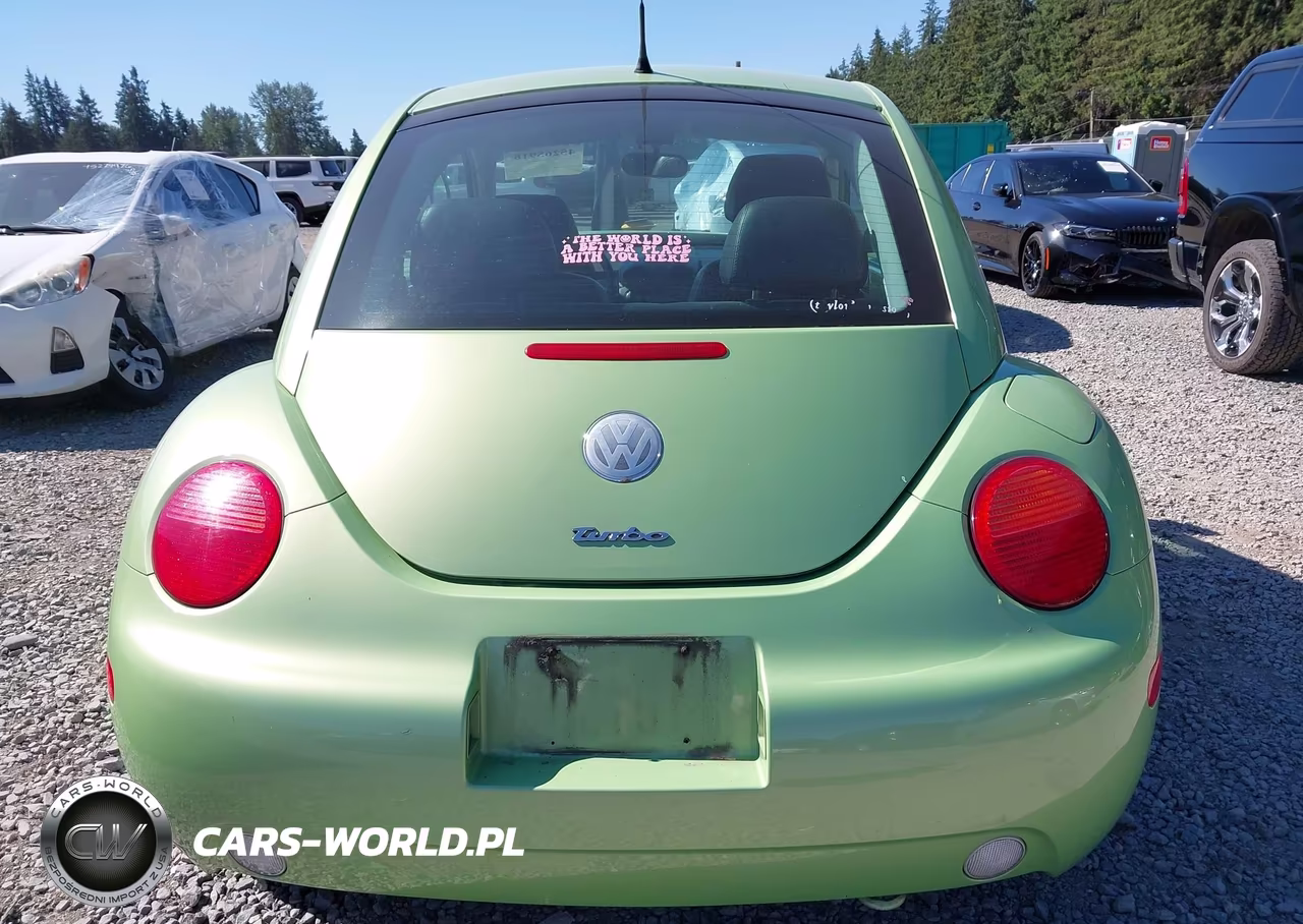 2003 Volkswagen New Beetle Glx VIN:3VWDD21C43M425245 - 17