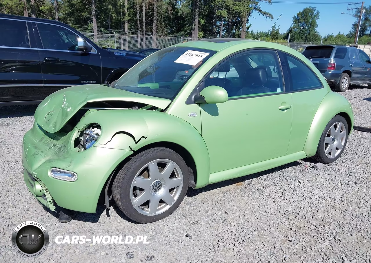 2003 Volkswagen New Beetle Glx VIN:3VWDD21C43M425245 - 2