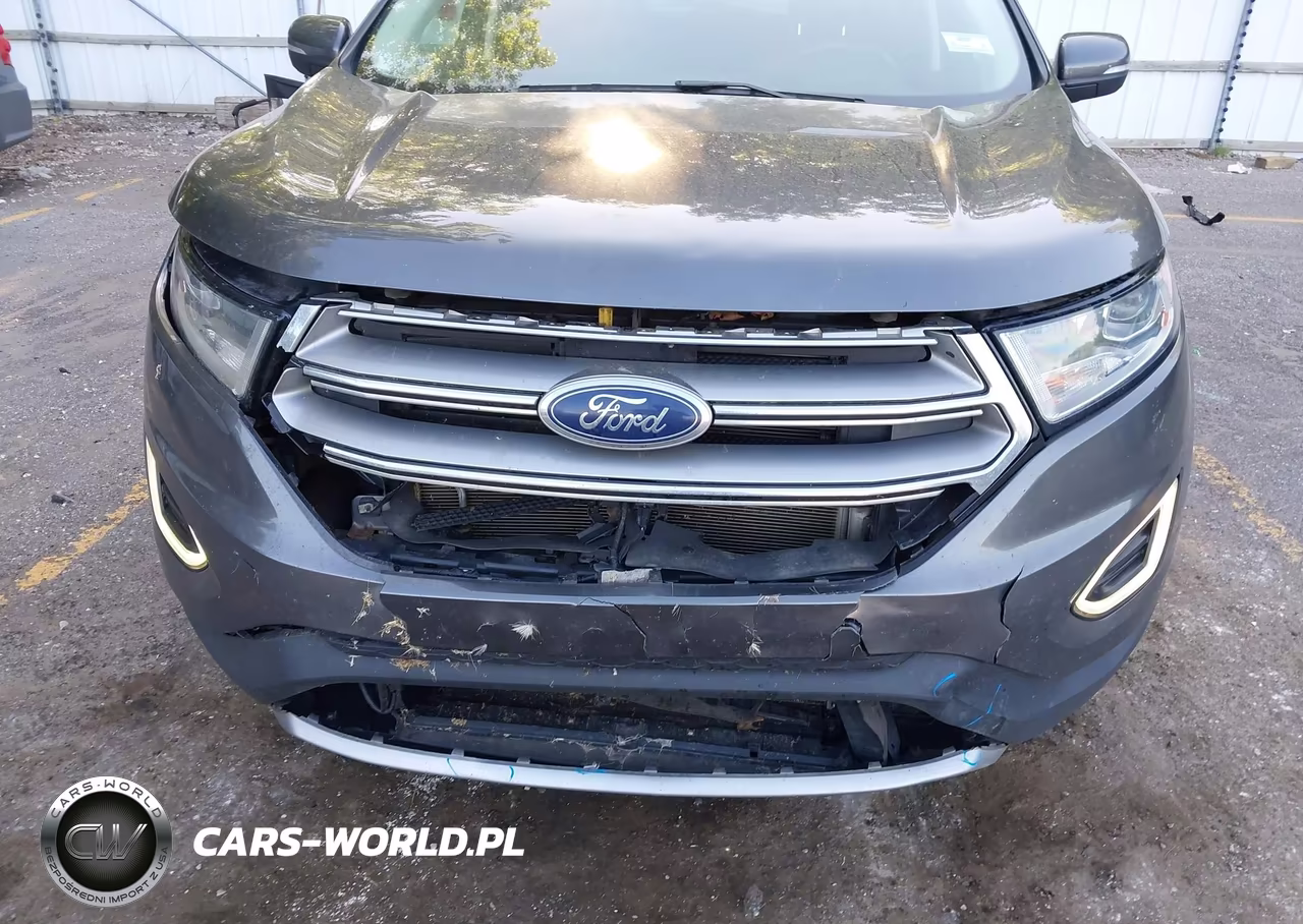 2017 Ford Edge Sel VIN:2FMPK4J96HBB93841 - 6