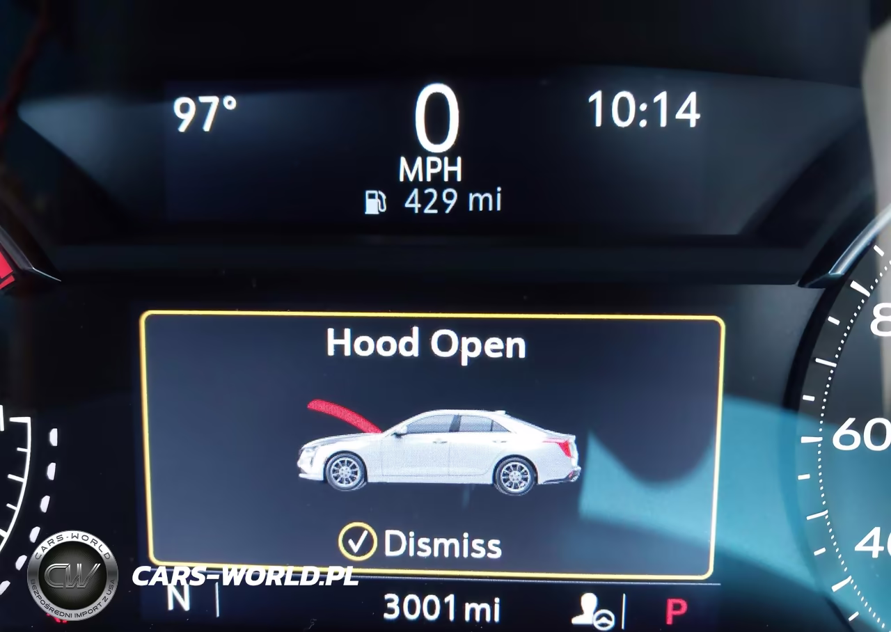 2024 Cadillac Ct4 Sport VIN:1G6DC5RK8R0123863 - 15