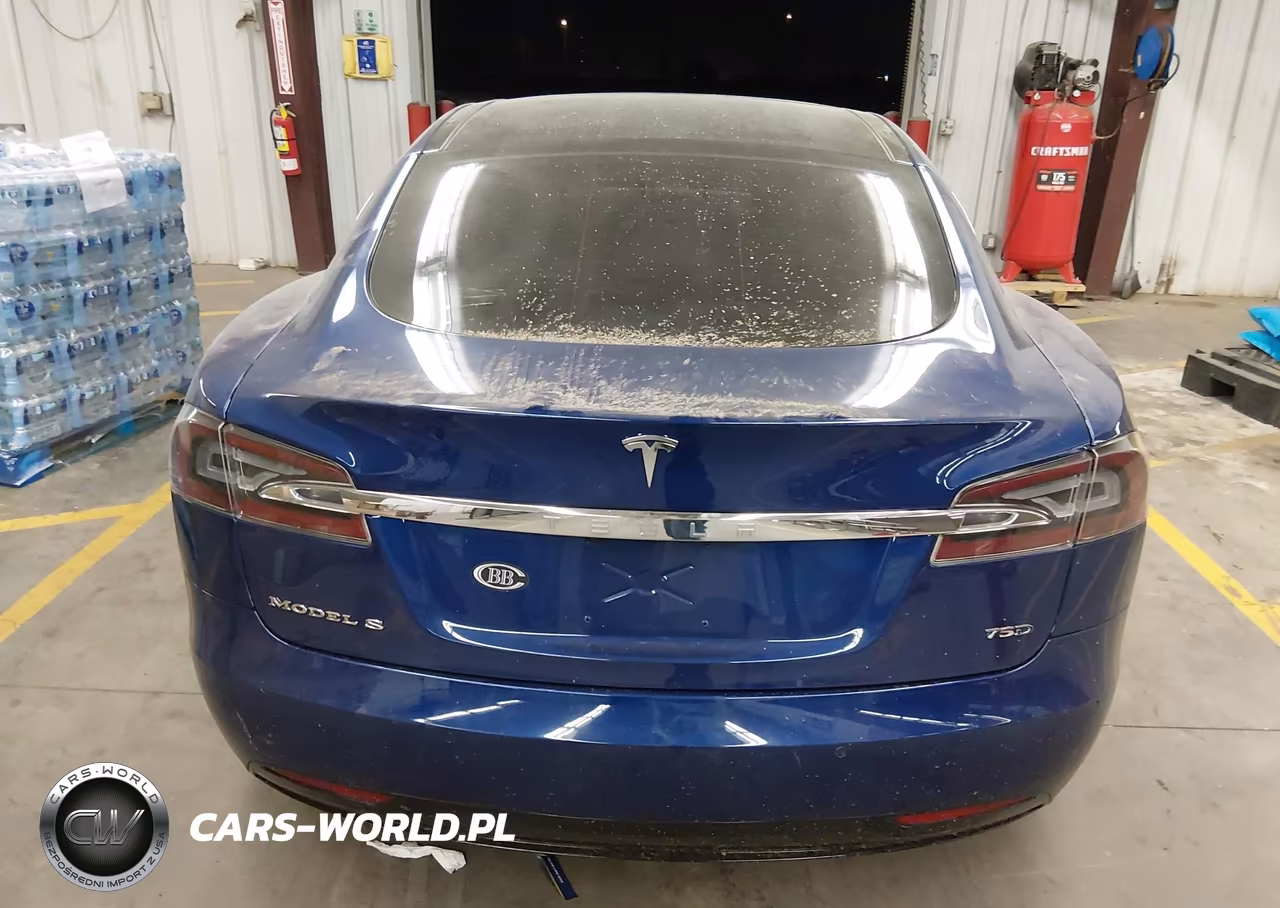 2016 Tesla Model S VIN:5YJSA1E20GF137411 - 15