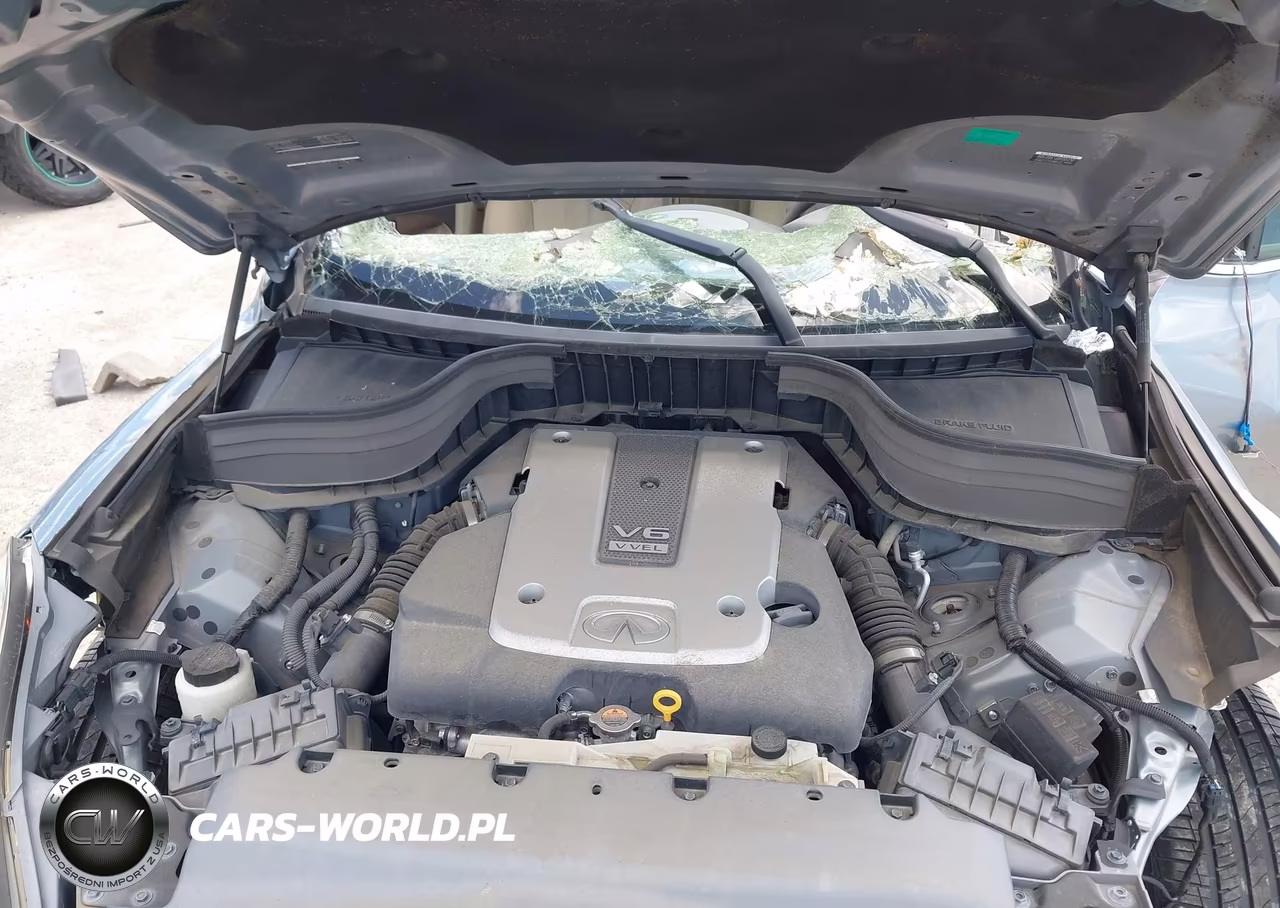 2017 Infiniti Qx50 VIN:JN1BJ0RP1HM390295 - 10