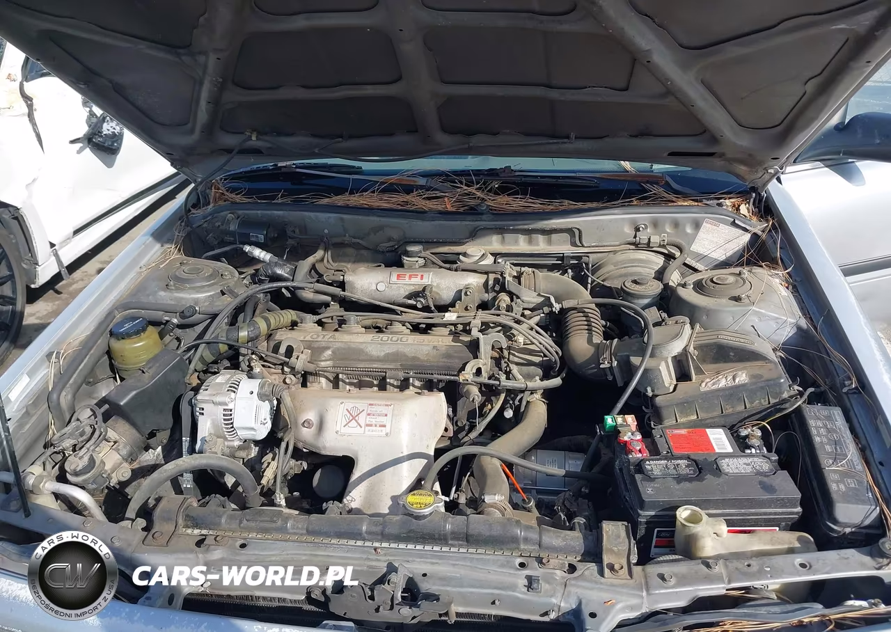 1989 Toyota Camry Dlx VIN:4T1SV21E0KU083761 - 10