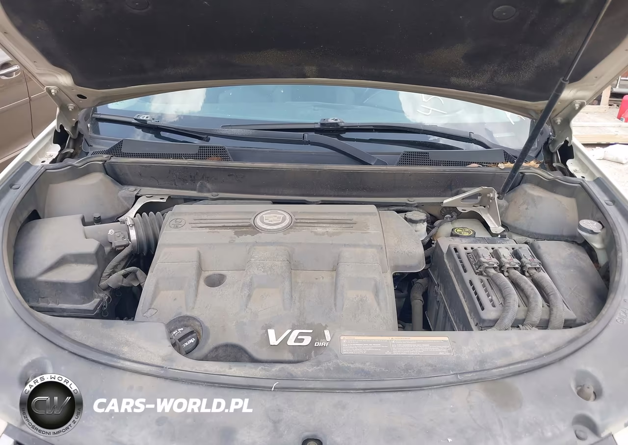 2015 Cadillac Srx Standard VIN:3GYFNAE37FS629979 - 10