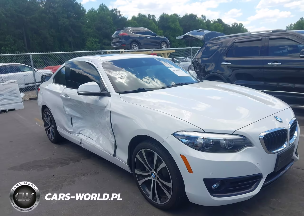 2019 BMW 230I