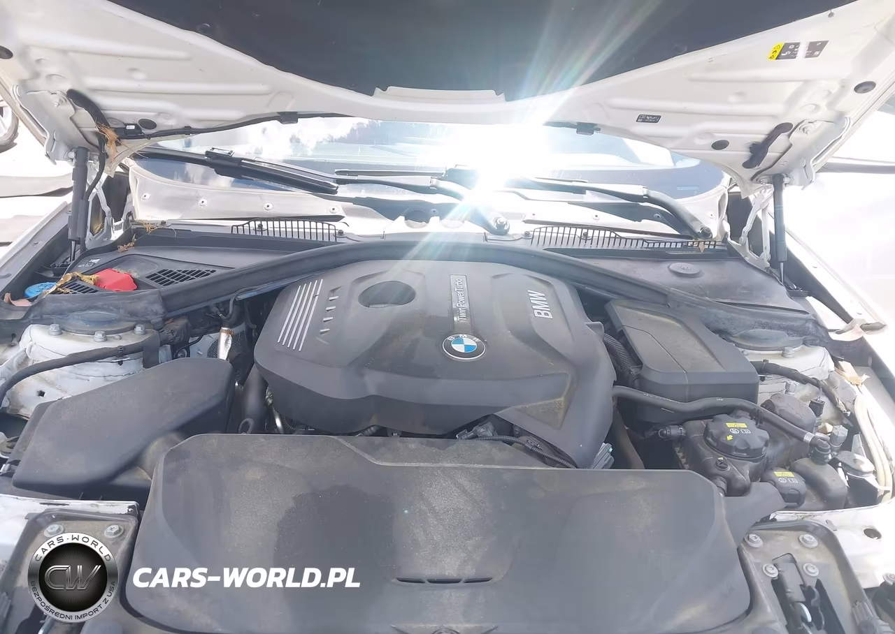 2019 BMW 230I VIN:WBA2J1C51KVD10103 - 10