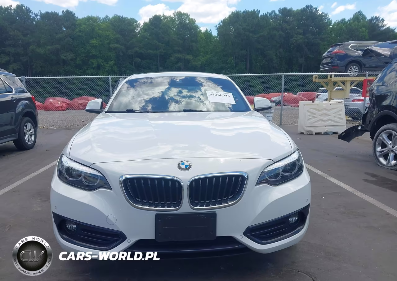 2019 BMW 230I VIN:WBA2J1C51KVD10103 - 12