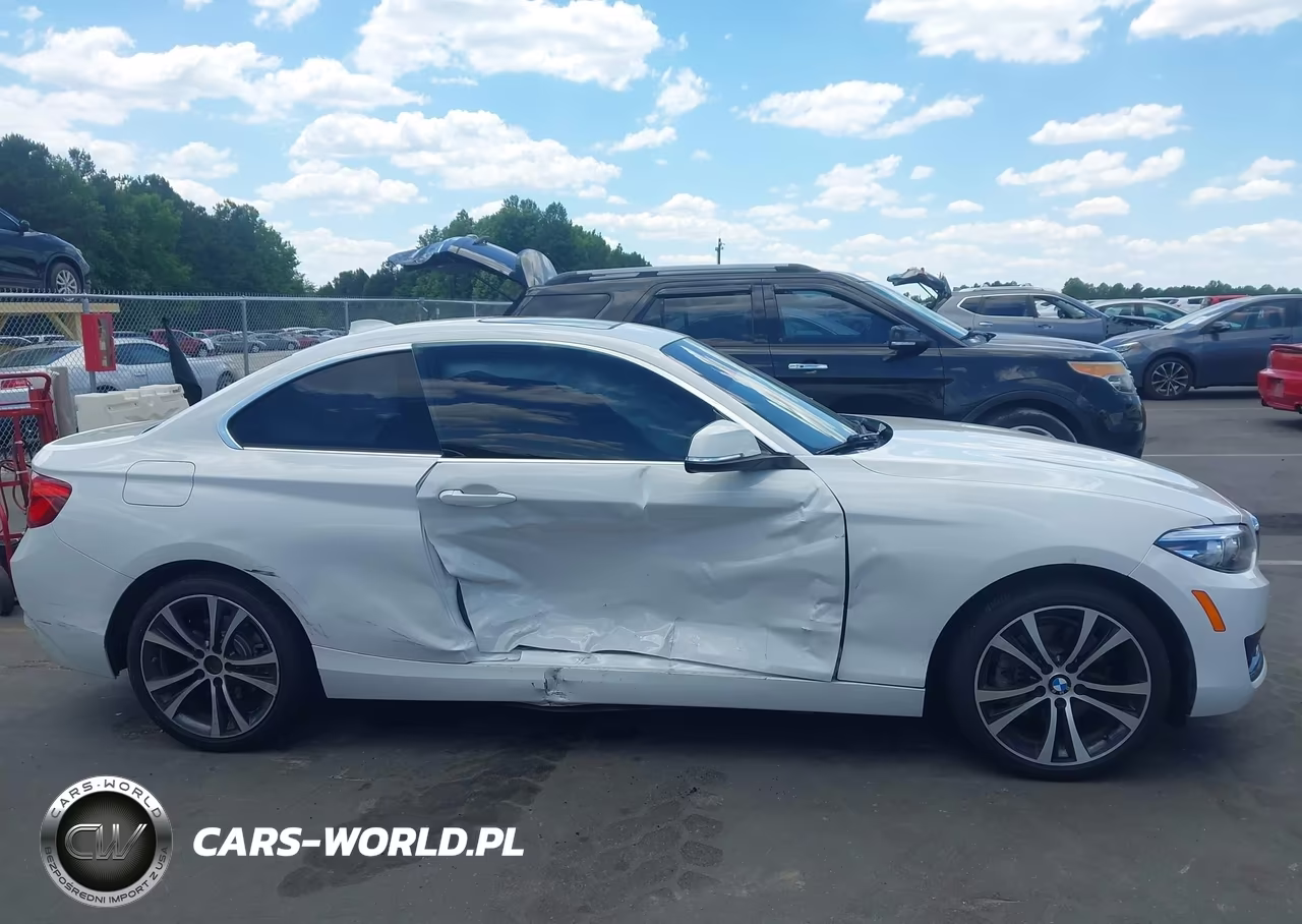 2019 BMW 230I VIN:WBA2J1C51KVD10103 - 13