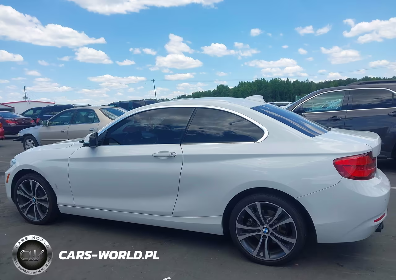 2019 BMW 230I VIN:WBA2J1C51KVD10103 - 14