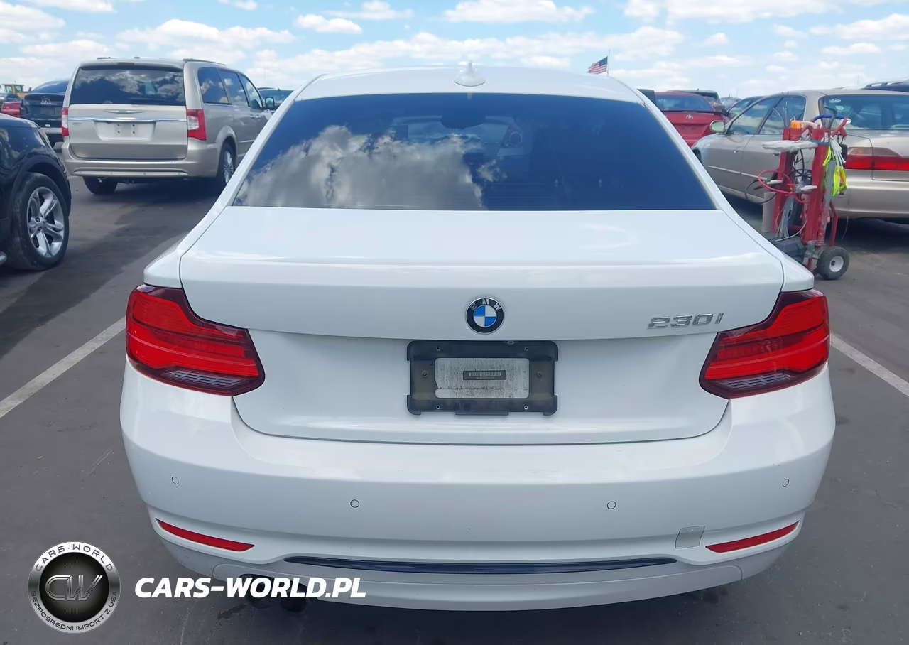 2019 BMW 230I VIN:WBA2J1C51KVD10103 - 16