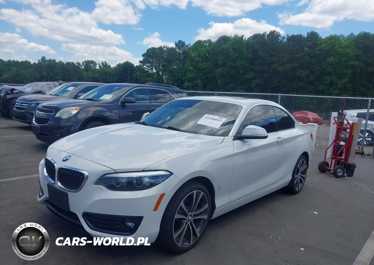 2019 BMW 230I VIN:WBA2J1C51KVD10103 - 2