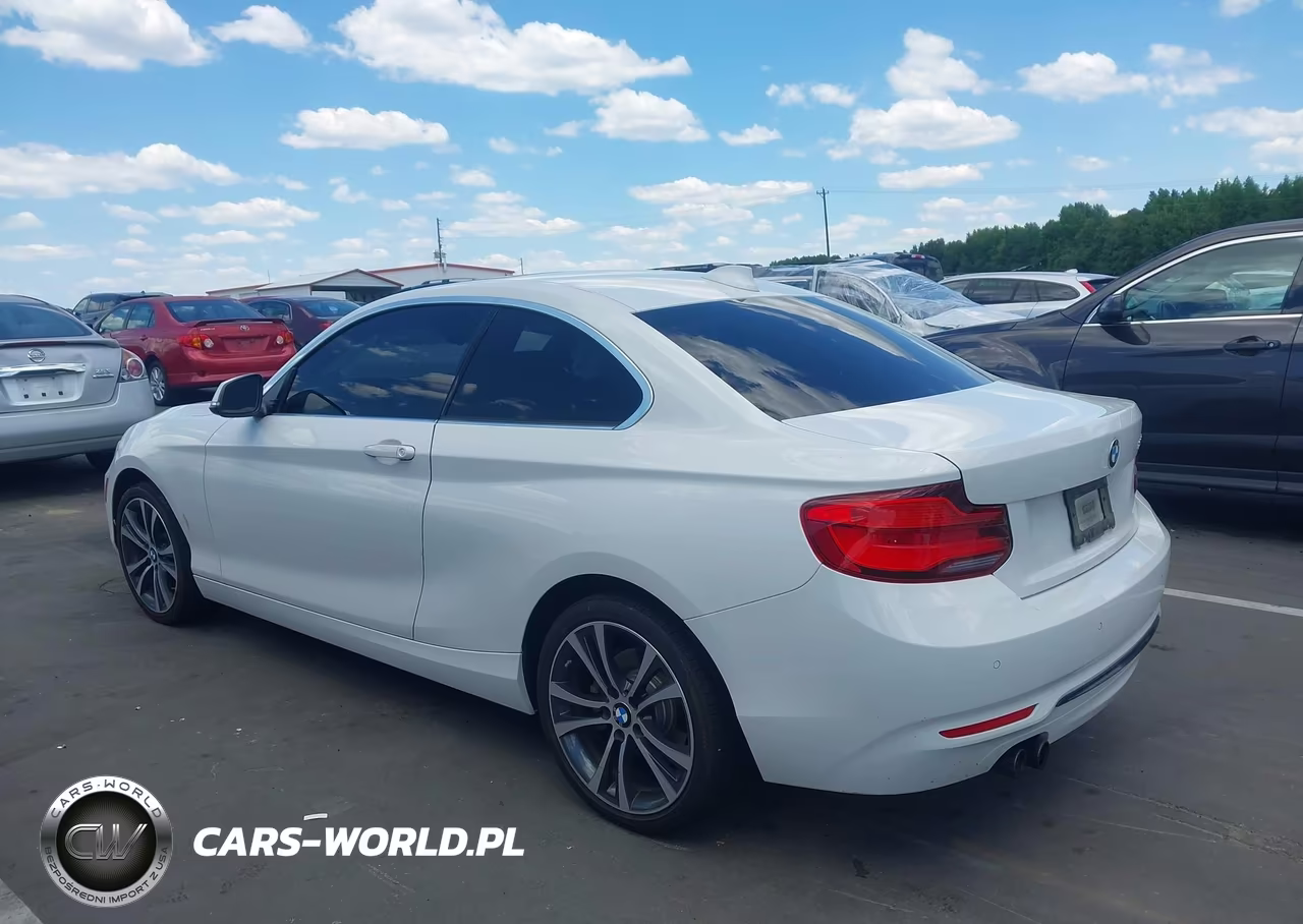 2019 BMW 230I VIN:WBA2J1C51KVD10103 - 3