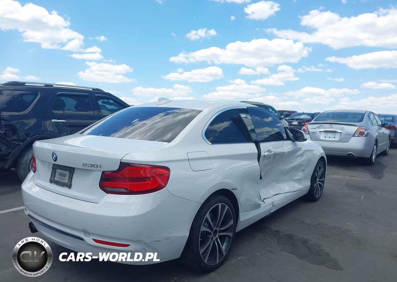 2019 BMW 230I VIN:WBA2J1C51KVD10103 - 4