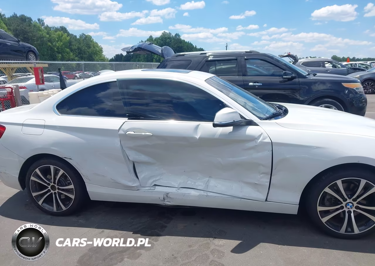 2019 BMW 230I VIN:WBA2J1C51KVD10103 - 6