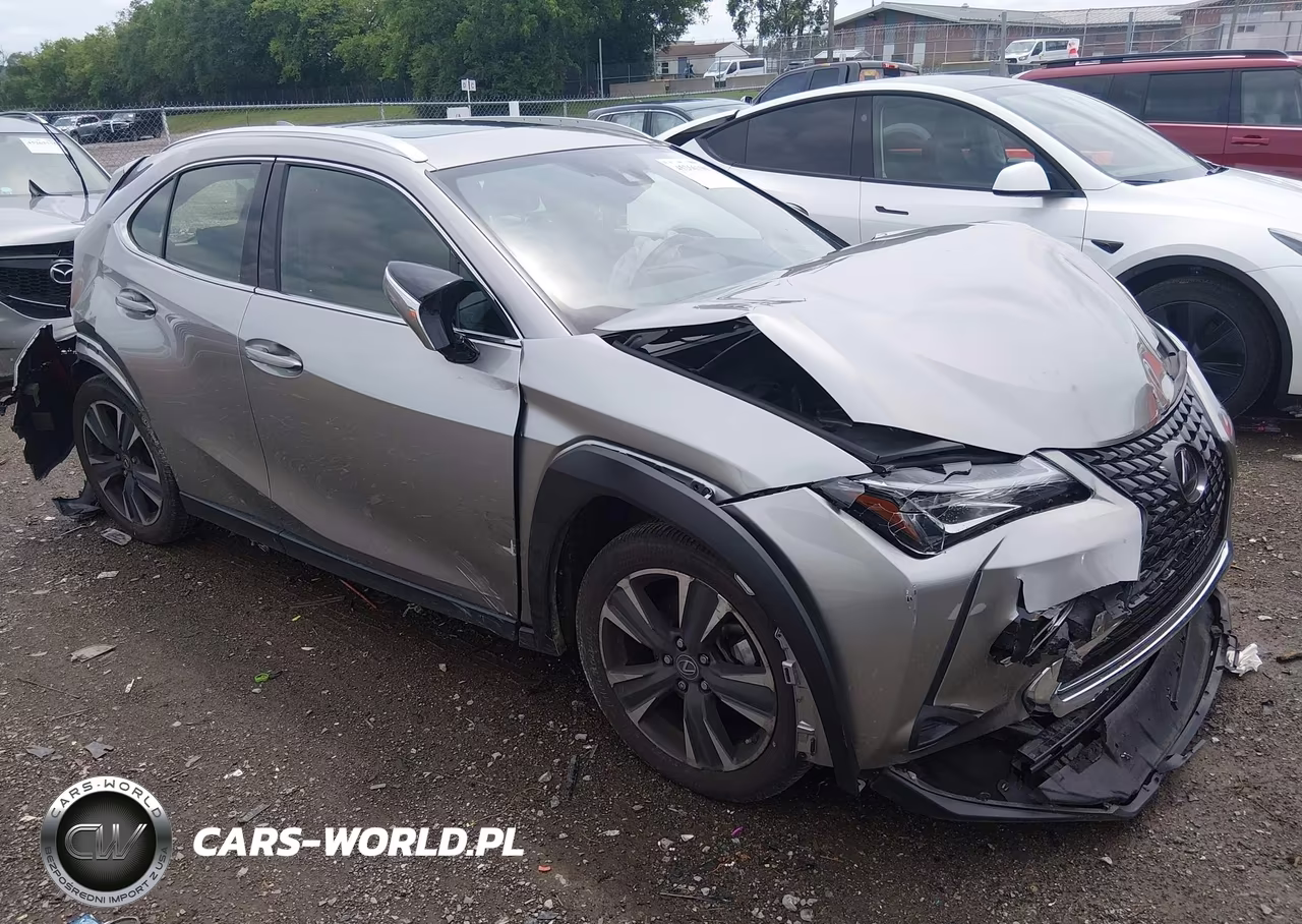 2019 Lexus Ux 200