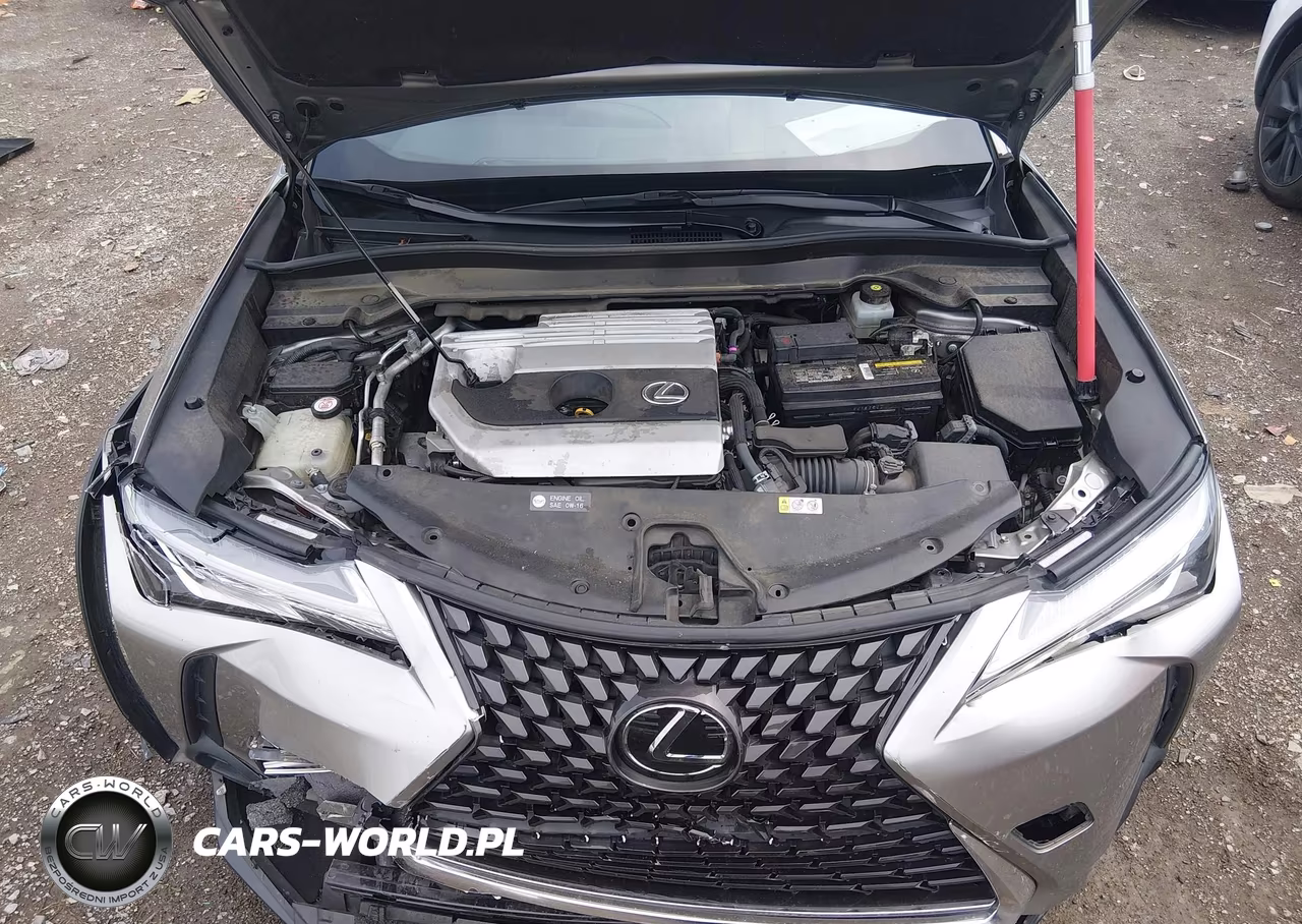 2019 Lexus Ux 200 VIN:JTHY3JBH9K2020305 - 10