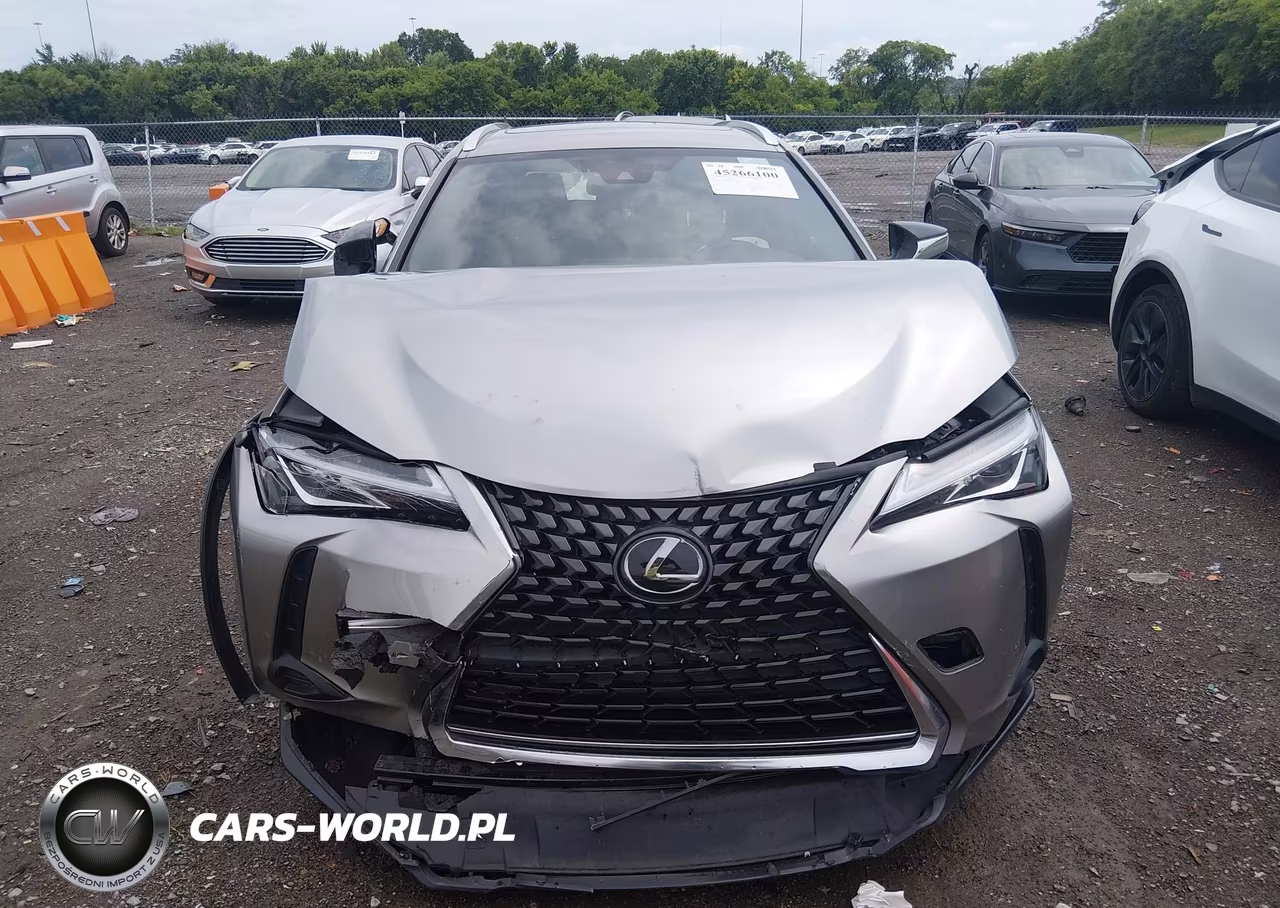 2019 Lexus Ux 200 VIN:JTHY3JBH9K2020305 - 12