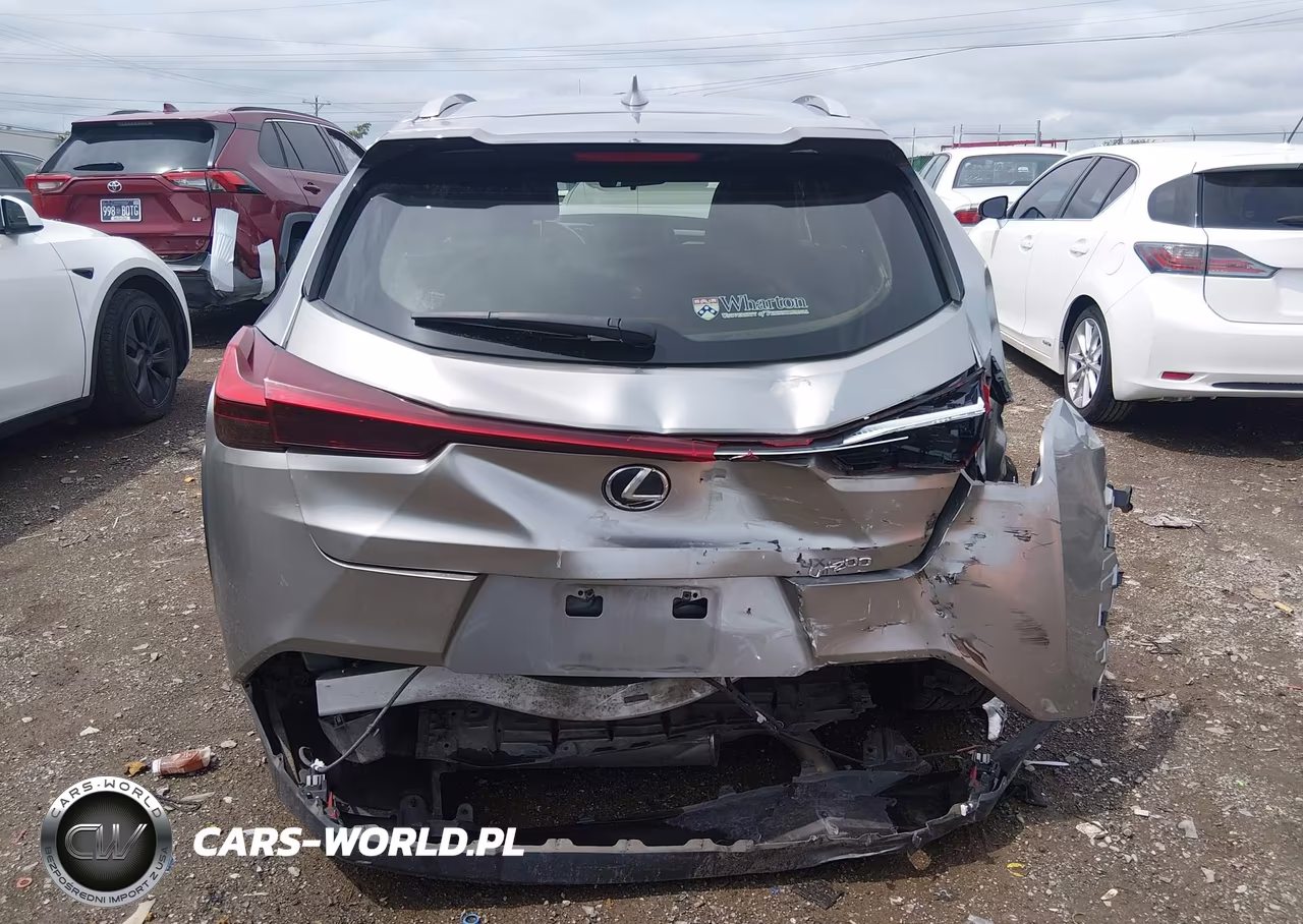 2019 Lexus Ux 200 VIN:JTHY3JBH9K2020305 - 16