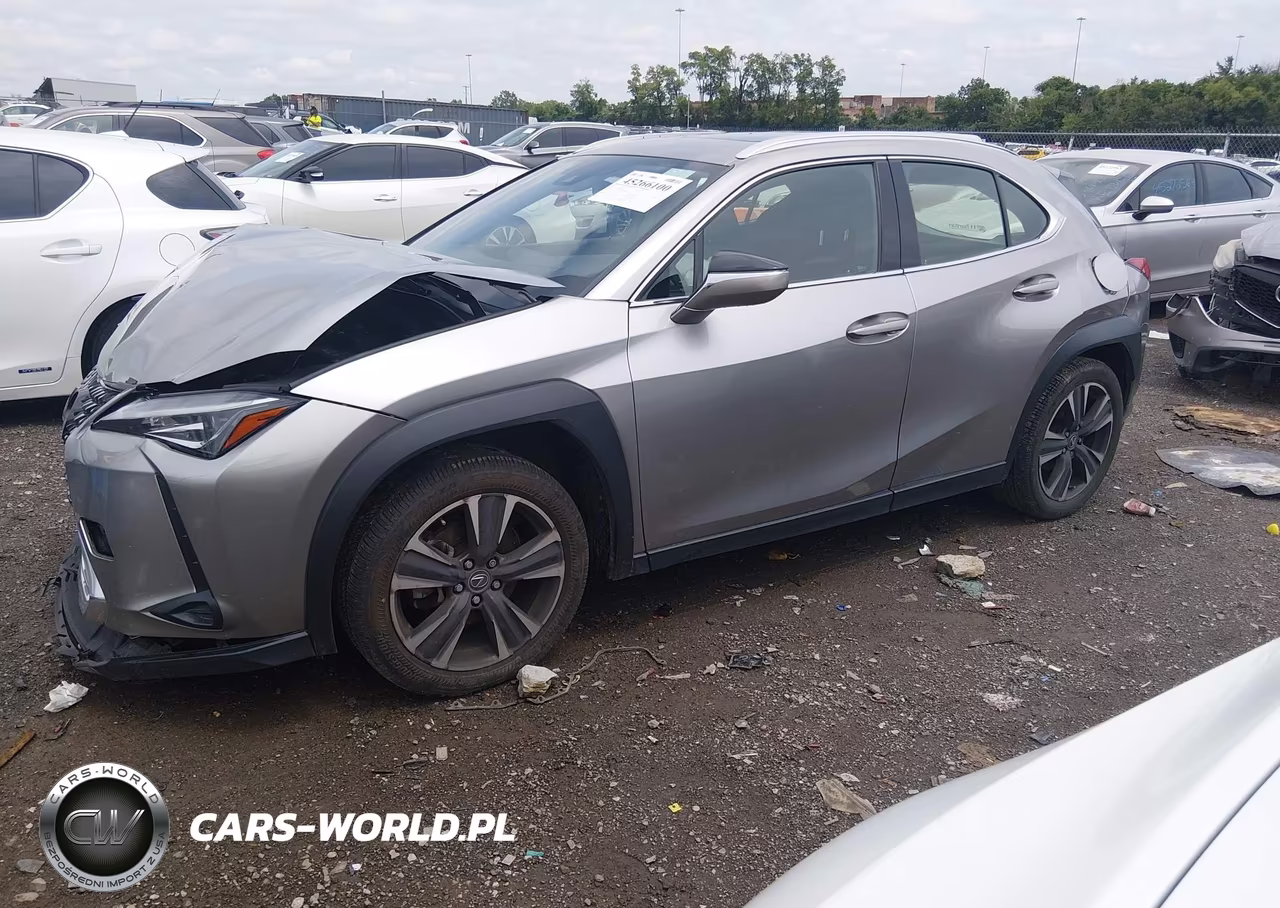 2019 Lexus Ux 200 VIN:JTHY3JBH9K2020305 - 2