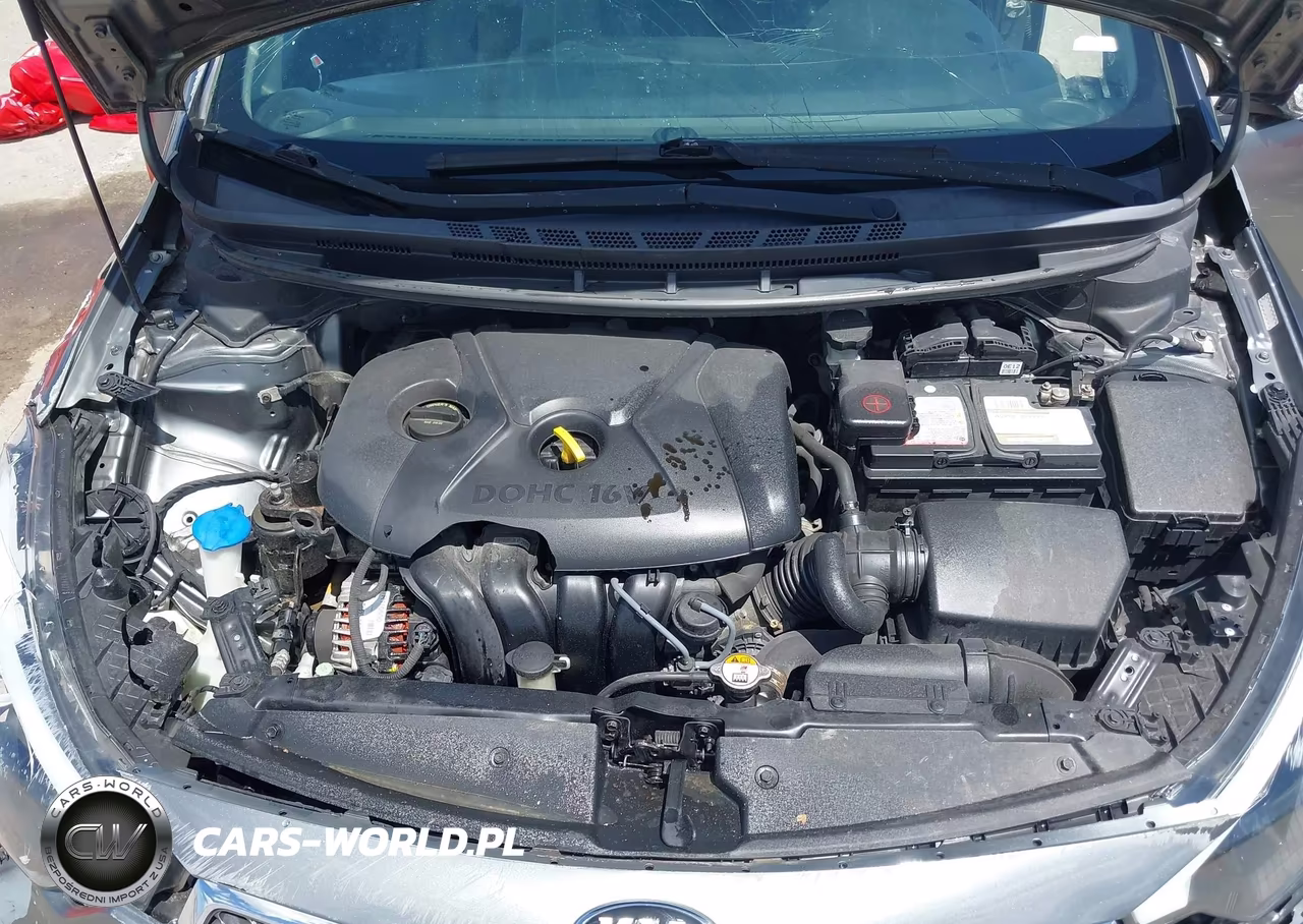 2016 Kia Forte Lx VIN:KNAFX4A60G5567545 - 10